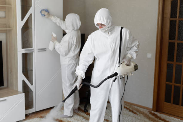 Asbestos and Lead Testing During Mold Inspection in Warren, MI